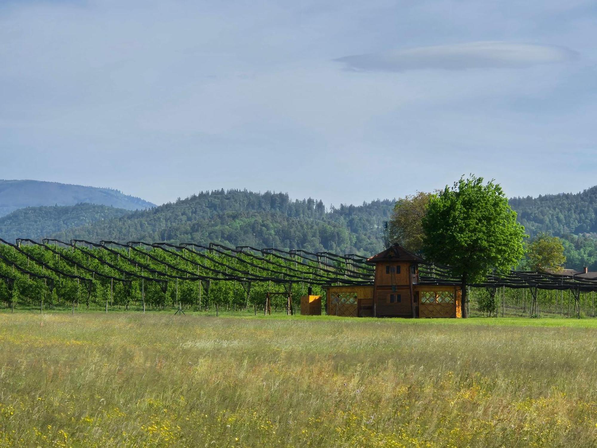 Unique Wooden Holiday House In Nature Lukovica pri Domžalah Exterior foto